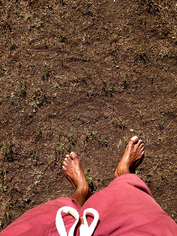 The Health Benefits of Grounding: Exploring the Potential Effects of ...